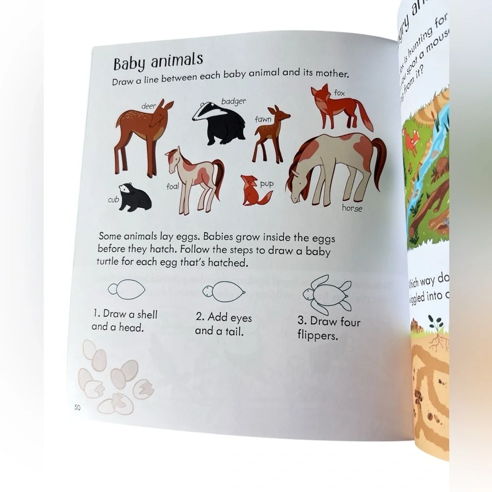 Usborne Little Children’s Nature Activity Book